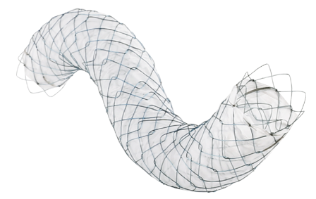 Biliary Comvi Stent